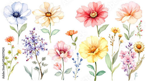 Set Spring flowers and butterflies Watercolor