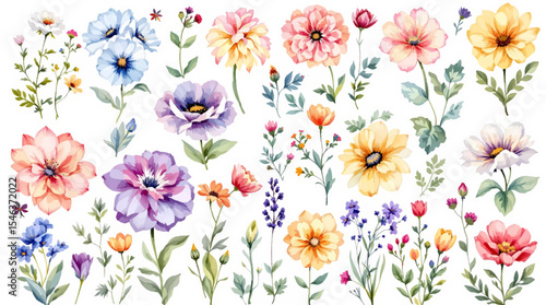 Colorful spring flowers watrecolor, Set Flower watercolor