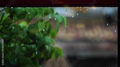 Raindrops falling under the eaves of a roof, a rainy landscape, a summer shower falling on a tree, and a relaxing rain sound ASMR
