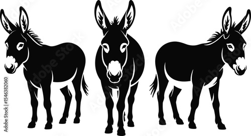 Three donkeys silhouettes farm animals black and white vector illustration