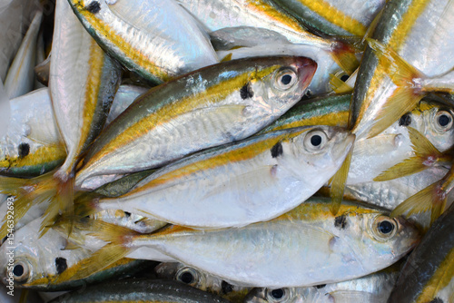 Fotografie The fresh Yellowstripe scad at the fresh market.