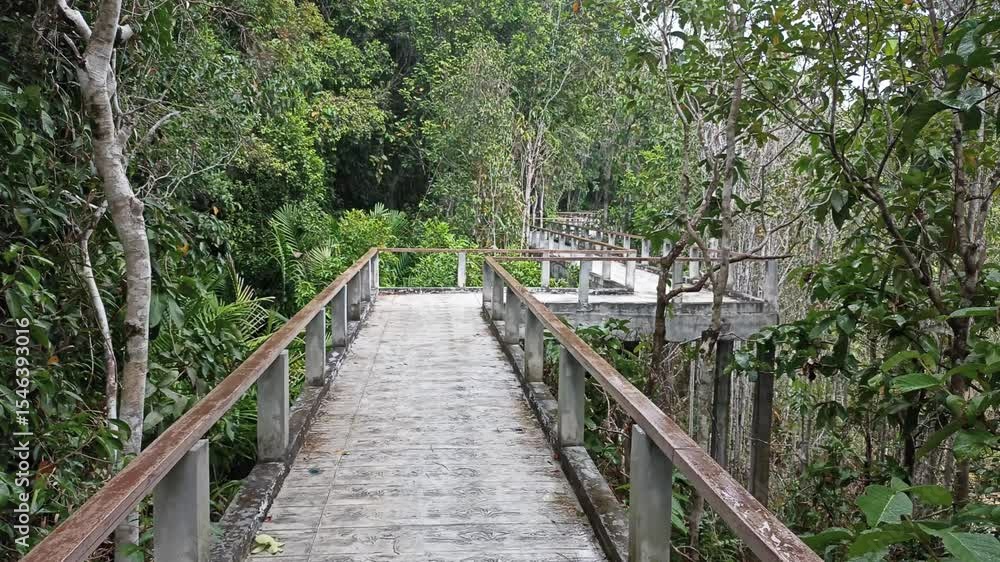 elevated walkway pathway in tropical forest jungle surrounded by lush green trees and plants elevated walkway pathway in tropical forest jungle surrounded by lush green trees and plants