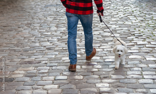 Fototapeta Naklejka Na Ścianę i Meble -  A stylish man in a red plaid shirt and jeans walks his cute white dog on a cobblestone street