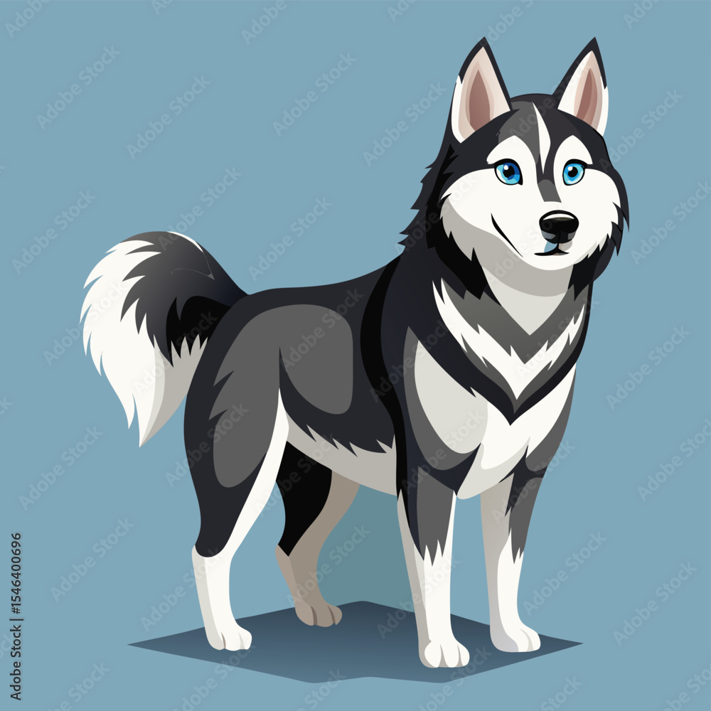 siberian husky dog siberian husky dog