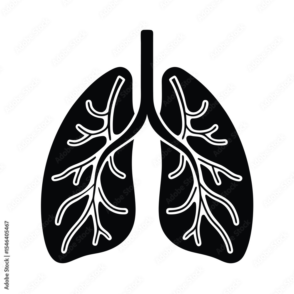 Obraz premium human lungs anatomy respiratory system vector illustration