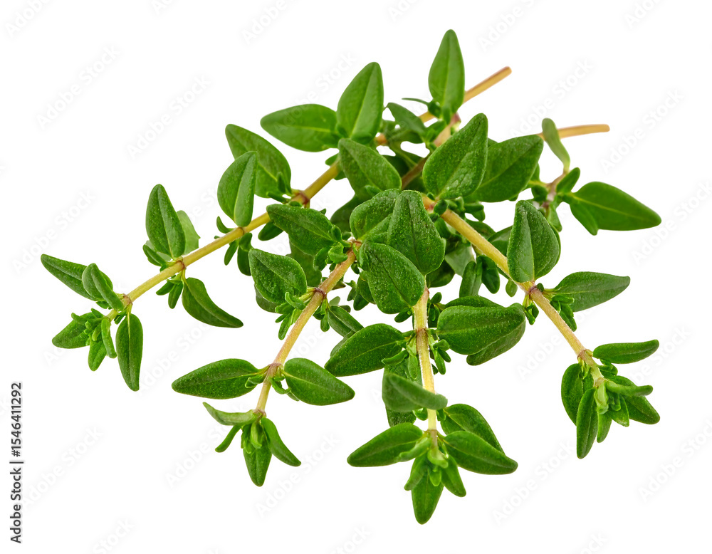 Obraz premium Fresh Green Thyme Sprigs With Vibrant Leaves Perfect for Culinary Use and Herbal Decorations