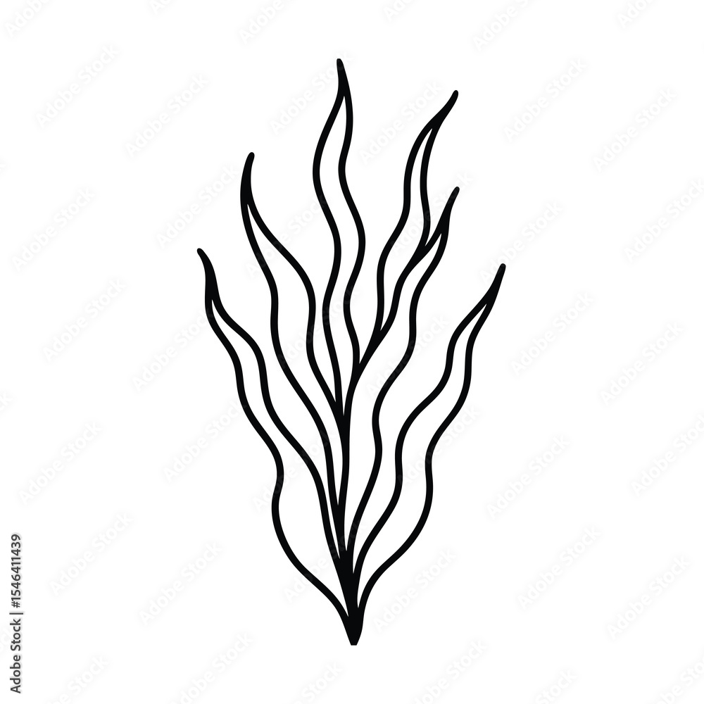 simple seaweed outline vector drawing vector simple seaweed outline vector drawing vector