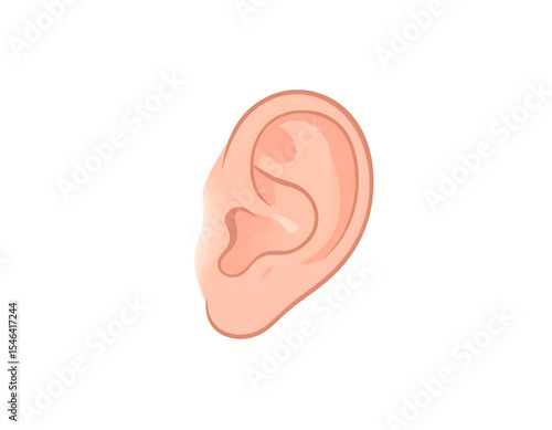 Realistic Illustration of Human Ear in Natural Skin Tone Ideal for Educational and Medical Use