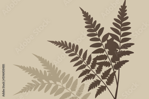 silhouette of a leaf of a tree