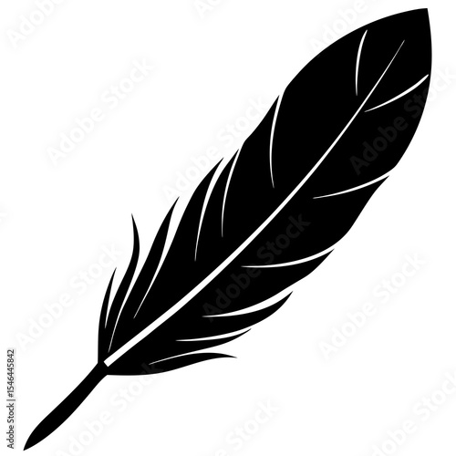 feather isolated on white background