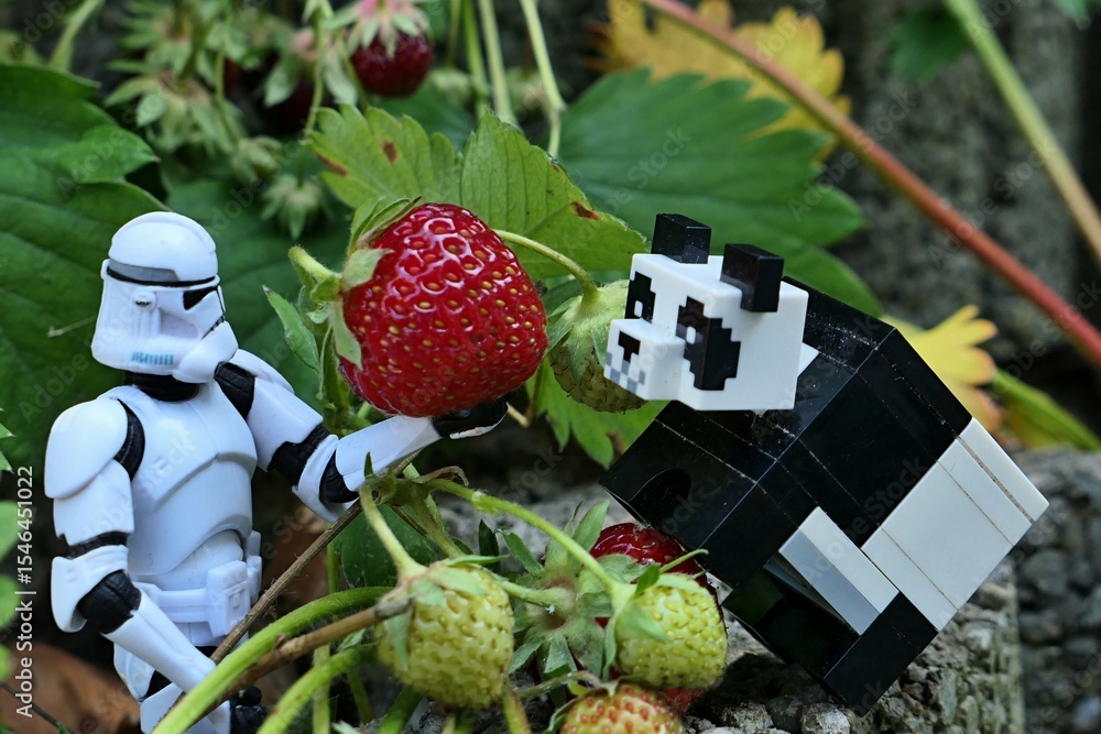 Naklejka premium Star Wars action figure of Clone trooper in white helmet and armor offering ripe red strawberry to LEGO Minecraft panda animal. Green leaves and concrete garden fittings visible in background. 