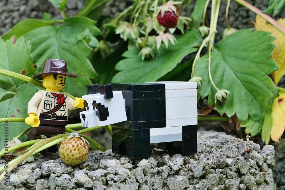 Fototapeta premium LEGO City Jungle adventurer, similar to Indiana Jones character, looking on a giant LEGO Minecraft panda sniffint at green riping strawberry from strawberry plant on concrete garden fitting.