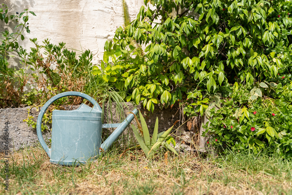 A beautifully serene garden setting, complete with a watering can and an array of vibrant plants blooming in it A beautifully serene garden setting, complete with a watering can and an array of vibrant plants blooming in it
