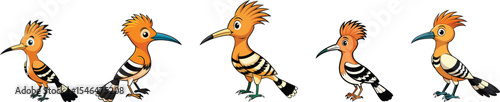 Hoopoe bird set vector illustration