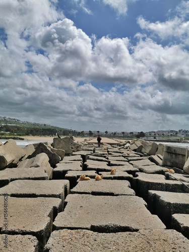 Photography Cats on Breakwater Under Dramatic Sky