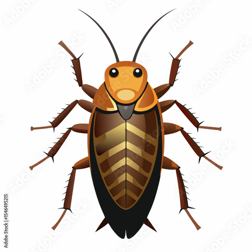 colorado potato beetle