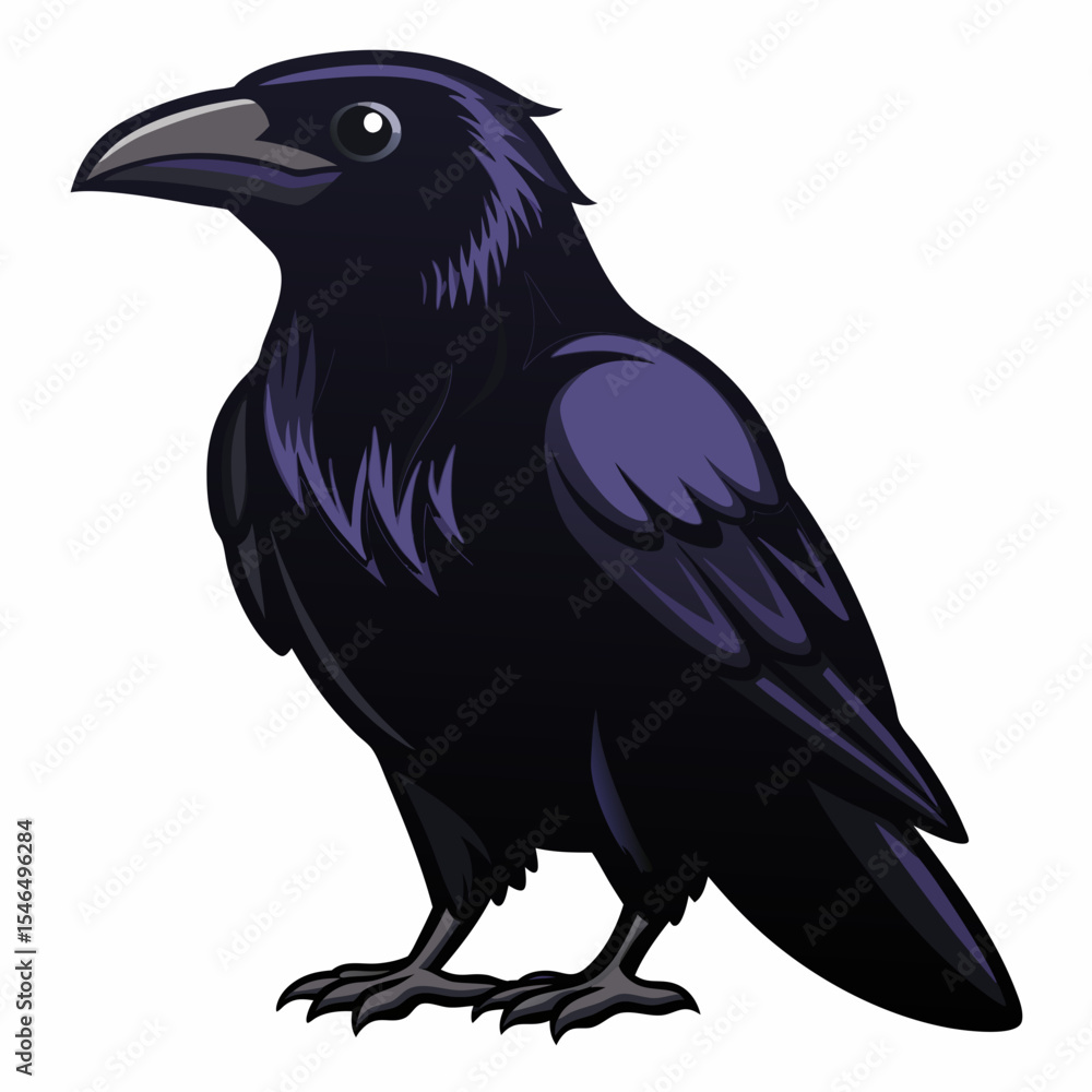 Fototapeta premium crow on a white background