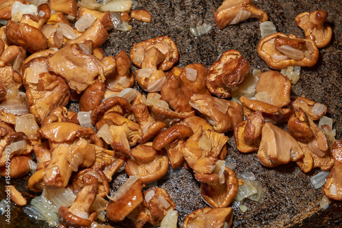 Ταπετσαρία Hot mushroom dish – chanterelles fried with onions in oil