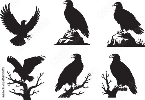 Six Black and White Eagle Line Art Silhouettes Birds of Prey Wildlife Nature Rock Branch Tree Graphic Design