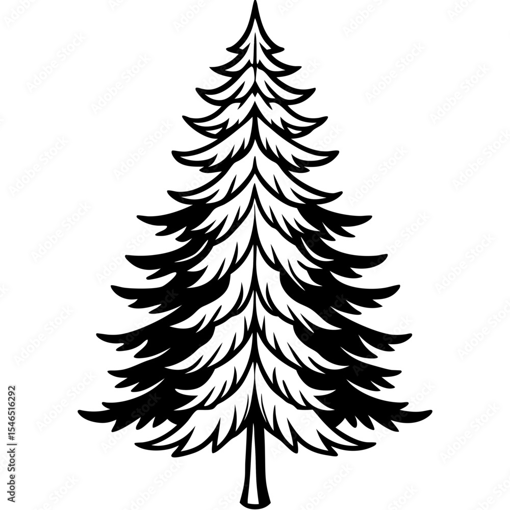 Fototapeta premium Fir line art vector