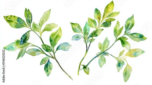 Watercolor illustration of parsley, a fresh green herb, is depicted in a detailed botanical painting on a white background, ideal for culinary and artistic utilization