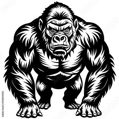 Fierce gorilla with muscular build isolated on white background