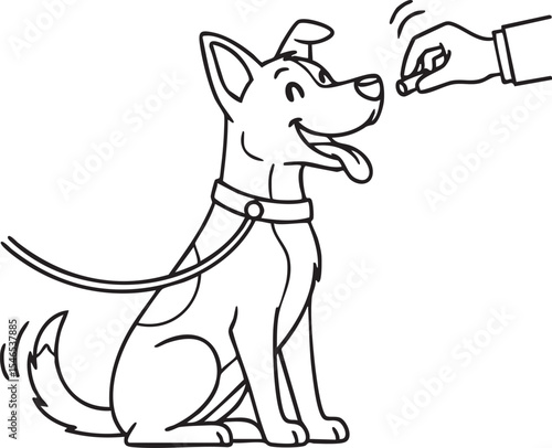  Dog Training with a Leashed Dog and Hand Offering a Treat