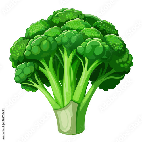 Fresh green broccoli vegetable illustration
