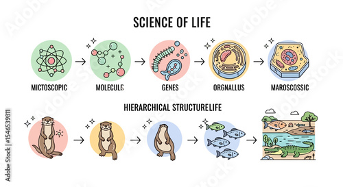 Science of Life Hierarchical Structure Illustration with Otter and Alligator