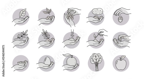 Hand-drawn Line Art Illustrations of Various Food Items and Elements