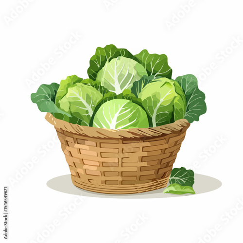 Cabbage in Basket: Freshly harvested cabbage, beautifully arranged in a rustic basket, showcasing the simple elegance and nutritional goodness of nature's bounty.