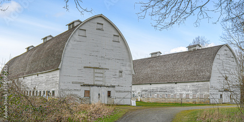Twin barns