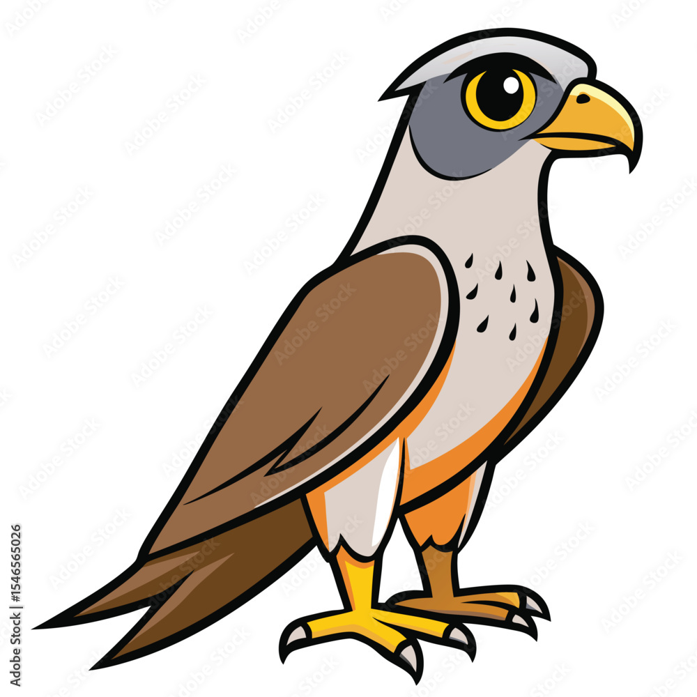 Fototapeta premium Hawk white background