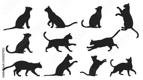 Twelve Black Cat Silhouettes Various Poses Vector Set