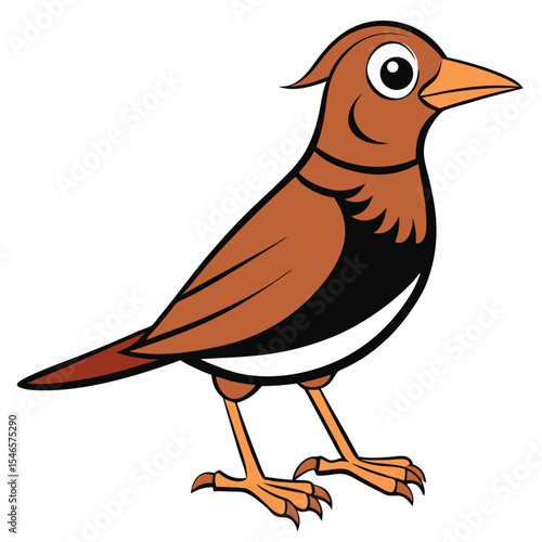 Sparrow bard white background