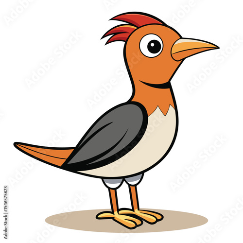 Sparrow bard white background