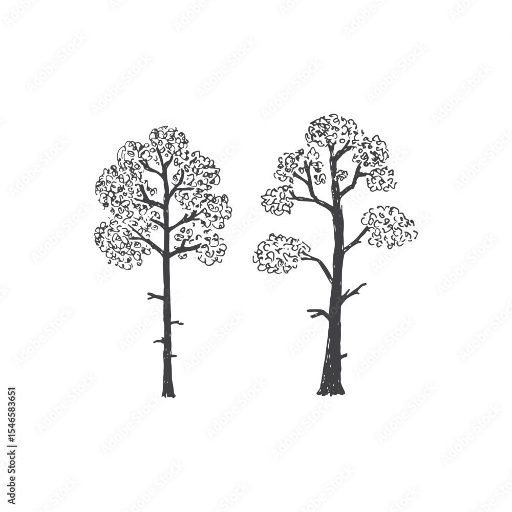 Fototapeta premium Big detailed Decorative tree graphic in hand drawn style