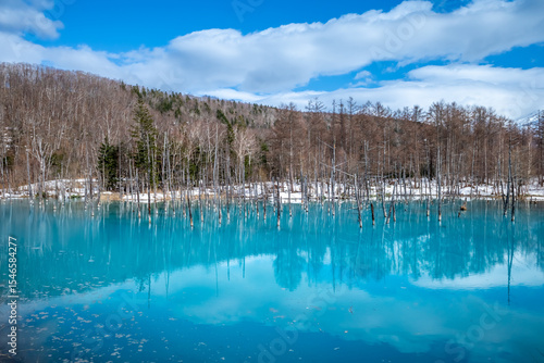 Carta da parati Blue pond, popular landmark in Biei town, Hokkaido, Japan, blue clear water with
