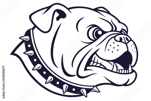 Aggressive bulldog head showing its teeth while wearing a studded collar is featured