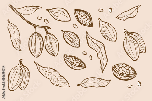Hand-drawn cocoa beans and leaves sketch set for chocolate designs.