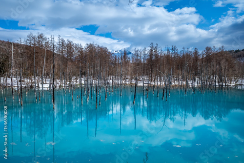 Blue pond, popular landmark in Biei town, Hokkaido, Japan, blue clear water with peaceful environment under cloudy blue sky in late winter season