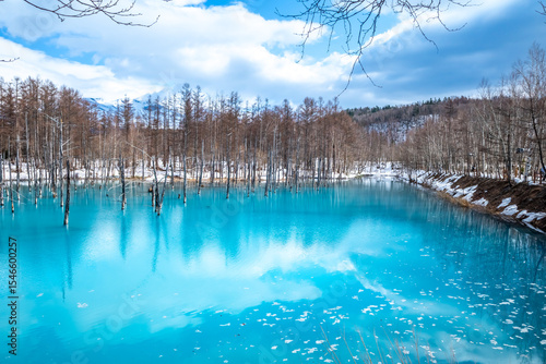 Blue pond, popular landmark in Biei town, Hokkaido, Japan, blue clear water with peaceful environment under cloudy blue sky in late winter season