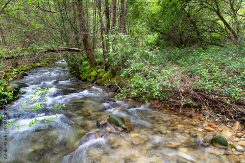 River in Compostela trail with forest around