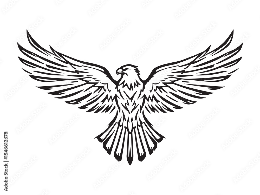 Obraz premium Eagle outline drawing
