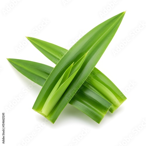 Aromatic Pandan Leaves: Vivid capture of fresh, green pandan leaves, celebrated for culinary and aromatic applications. Highlighting the vibrant hues and distinct texture of this tropical herb.