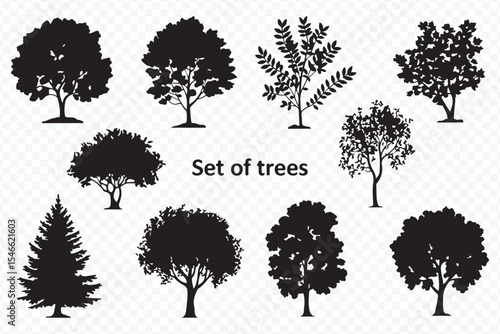 set of tree silhouettes for design, featuring magnolia, maple, lilac, castor, acacia, fir, chestnut, oak, pine