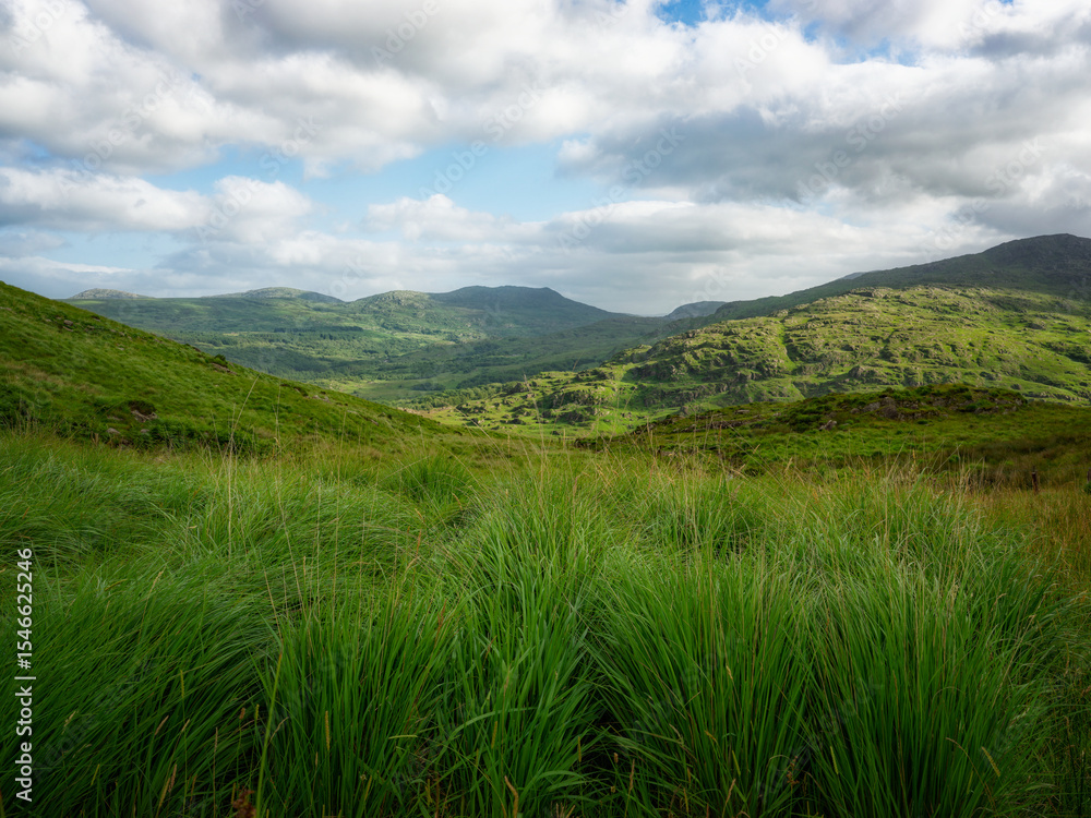 Fototapeta premium Lush green grass fills the foreground, with rolling green hills and mountains in the background. Patches of blue sky are visible amongst the white clouds above the scenic Gap of Dunloe.