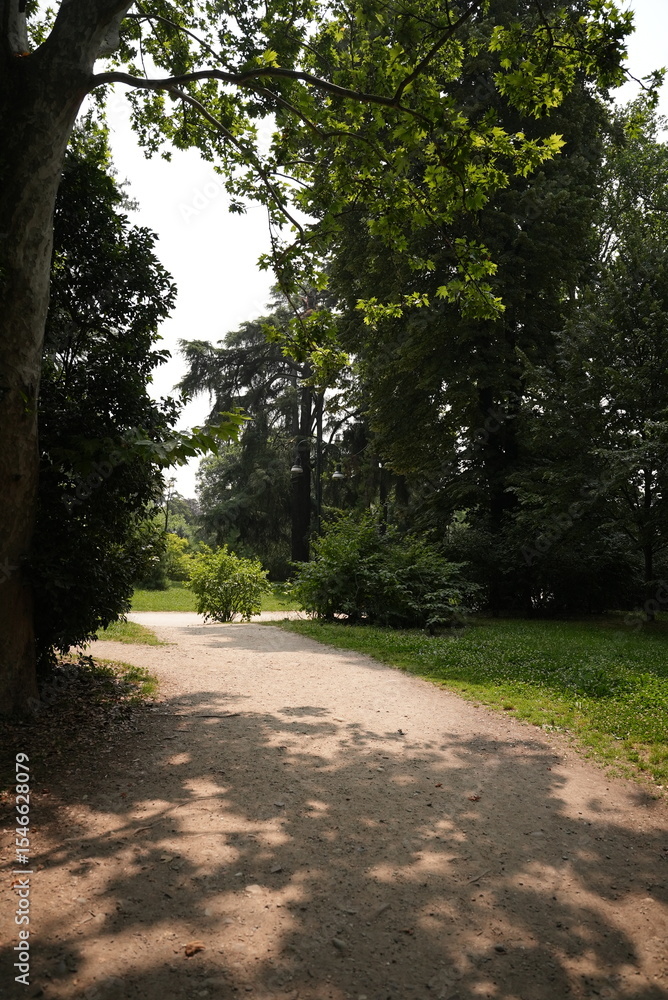 Fototapeta premium Italian forest walking path