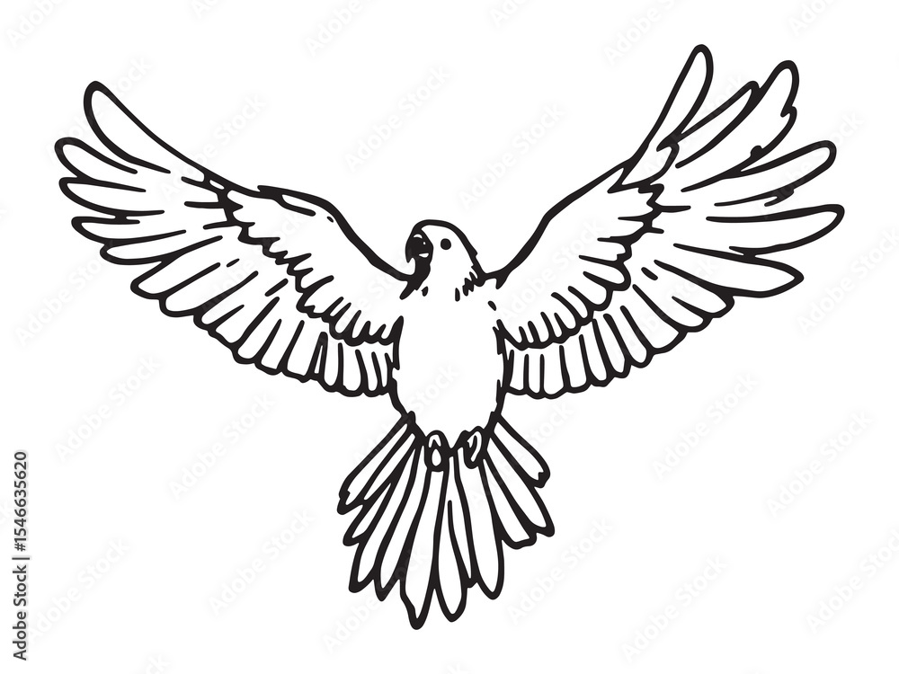Fototapeta premium Minimalist Macaw Black Line Drawing