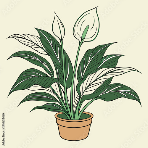 Peace lily plant in a terracotta pot is displayed against a beige background